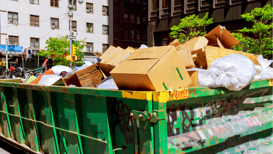 Junk Removal Services (1) Junk Removal Services (1)